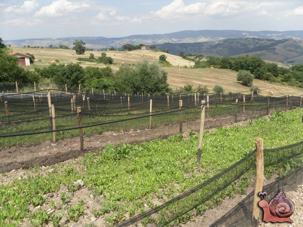 vista sulla Val d'Orcia