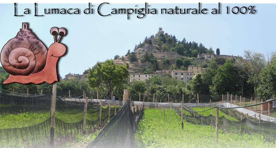 www.lalumacadicampiglia.it